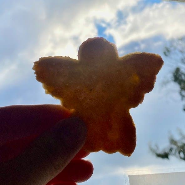 2025, l'épreuve qui a tout transformé